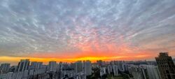 Tribeca (D9), Condominium #559868841